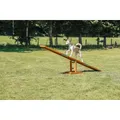 AGILITY hojdačka/lávka 300x54x34cm max.do 80kg TRIXIE