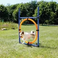 AGILITY kruh preskakovací
