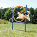 Ďalší obrázok produktu AGILITY kruh preskakovací