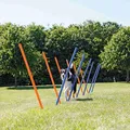 Ďalší obrázok produktu AGILITY Slalom, tyče 12ks