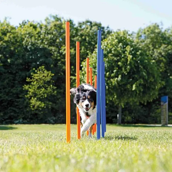 Hlavný obrázok produktu AGILITY Slalom, tyče 12ks