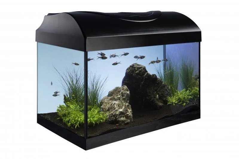 Hlavný obrázok produktu Akvarijní set 40 - černý rovný 40x25x25 cm