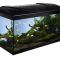Ďalší obrázok produktu Akvarijný set 60 - čierna 60x30x30 cm