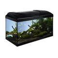 Ďalší obrázok produktu Akvarijný set 60 - čierna 60x30x30 cm
