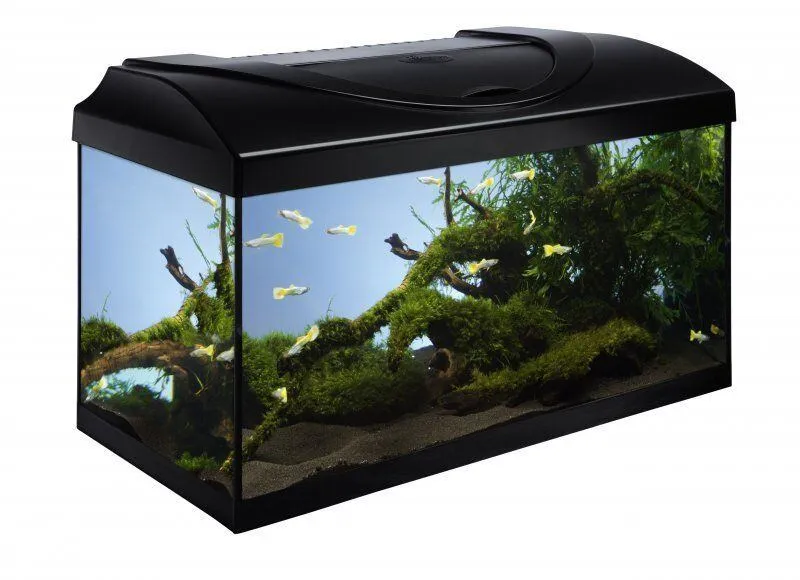 Hlavný obrázok produktu Akvarijní set 60 - černá 60x30x30 cm
