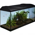 Ďalší obrázok produktu Akvarijný set 80 - čierna 80x35x40 cm