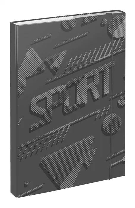Hlavný obrázok produktu BAAGL Desky na školní sešity A4 Sport