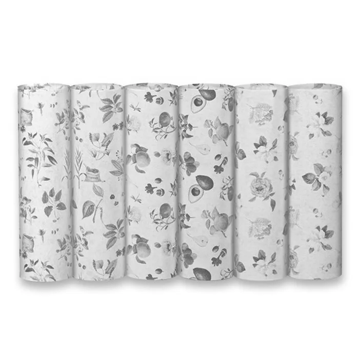 Hlavný obrázok produktu Balicí papír Botanica 2 x 0,7 m, mix motivů