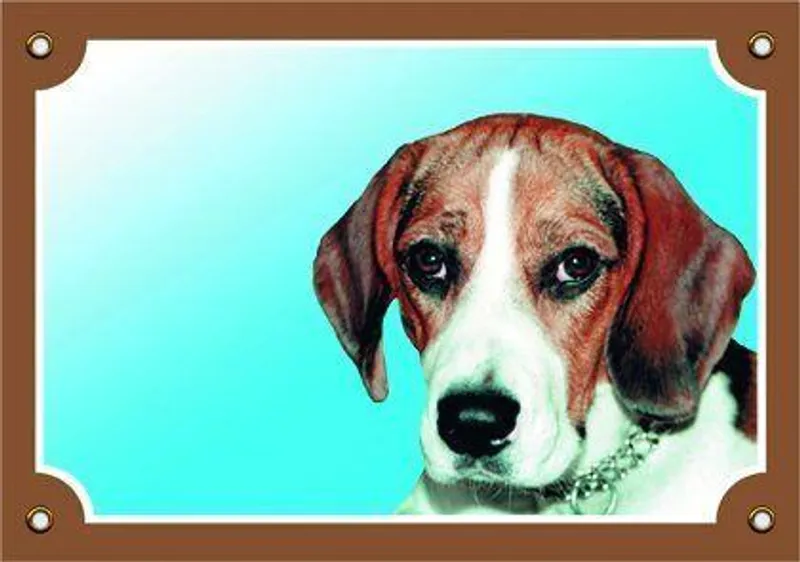 Hlavný obrázok produktu Barevná cedulka Pozor pes, Beagle