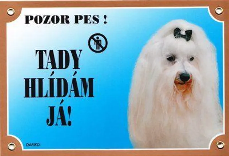 Hlavný obrázok produktu Barevná cedulka Pozor pes, Maltézský pinč