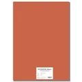 Farebný kartón EXTRA 300g 50x70cm oranžový [10 listov]