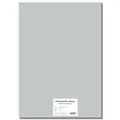 Farebný kartón EXTRA 300g 50x70cm strieborný [10 listov]