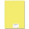 Farebný kartón EXTRA 300g 50x70cm svetlo žltý [10 listov]