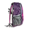 Batoh Boll Falcon 20 boysenberry