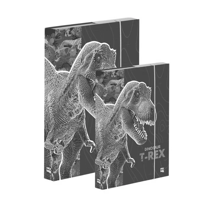 Hlavný obrázok produktu Box A4+A5 Premium Dinosaurus