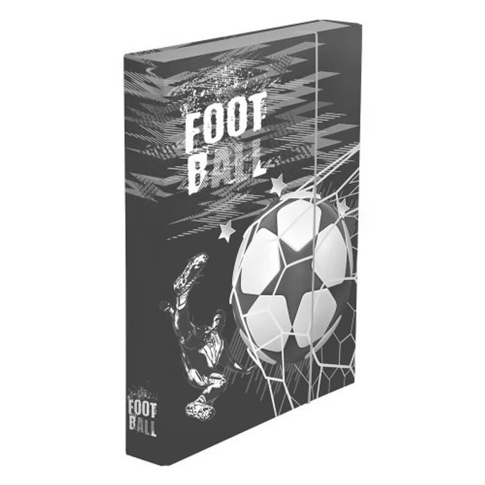 Hlavný obrázok produktu Box na sešity A4 fotbal