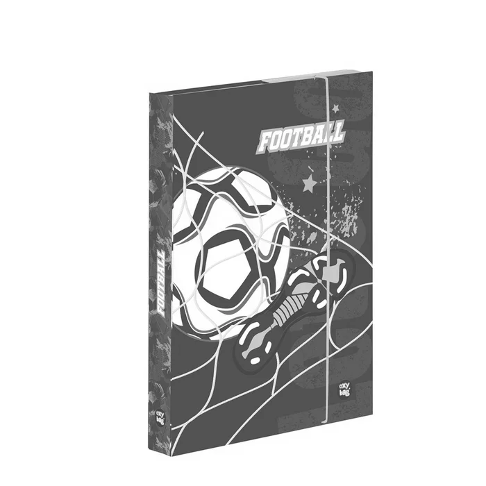 Hlavný obrázok produktu Box na sešity A4 fotbal