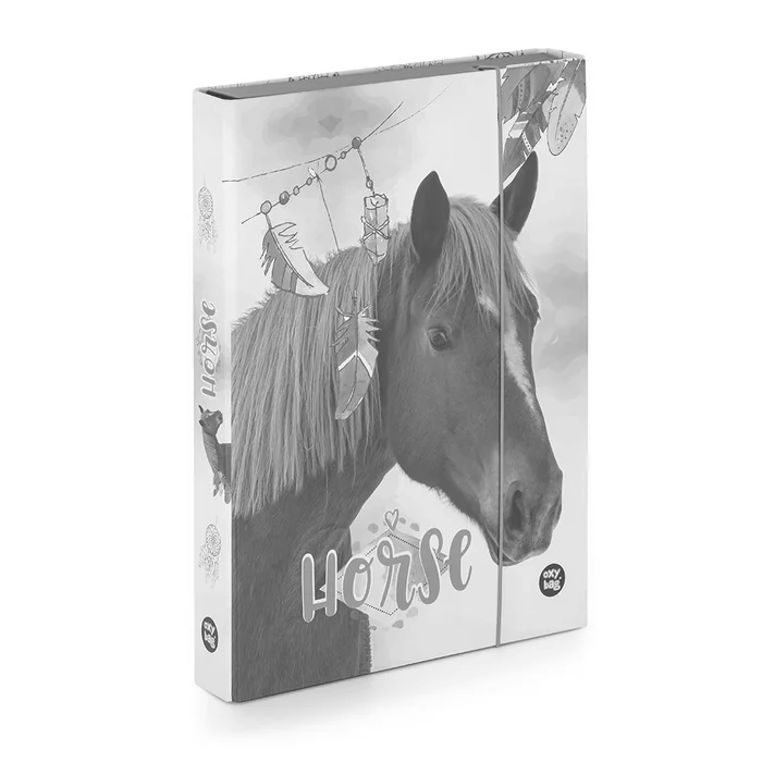 Hlavný obrázok produktu Box na sešity A4 Jumbo kůň romantic