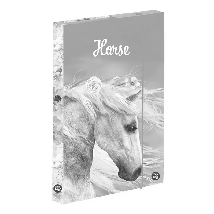 Hlavný obrázok produktu Box na sešity A4 Jumbo kůň romantic