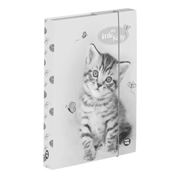 Hlavný obrázok produktu Box na sešity A4 kočka
