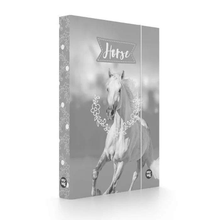 Hlavný obrázok produktu Box na sešity A4 kůň