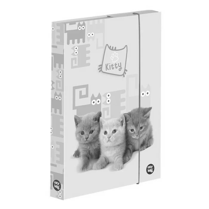 Hlavný obrázok produktu Box na sešity A4 Mazlíčci