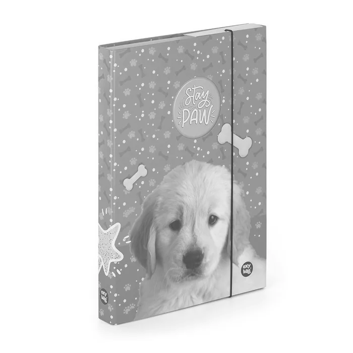 Hlavný obrázok produktu Box na sešity A4 pes