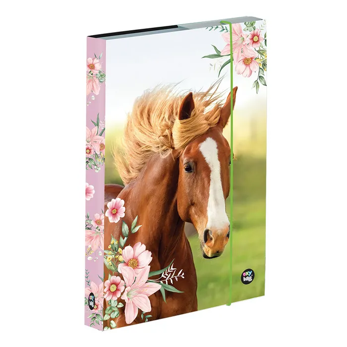 Hlavný obrázok produktu Box na sešity A5 kůň