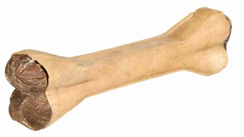 Hlavný obrázok produktu Buvolí kost plněná dršťkami 15 cm 90 g