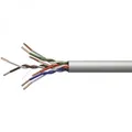Cat.5e, RJ45 M-1m, netienený, CCA, sivý, economy