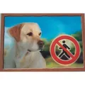 Ďalší obrázok produktu Ceduľka 3D PSI, Labradorský retriver (béžový)