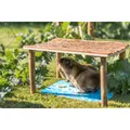 Ďalší obrázok produktu Chladiaca keramická podložka pre malé hlodavce 28 x 20 cm