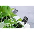 Chytrý květináč Potager Connect, bílý, s náplní 4ks, Moonlight Gold, Véritable