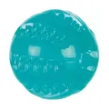 Ďalší obrázok produktu DentaFun lopta, termoplastická guma (TPR) 6 cm