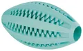 DENTAfun RUGBY lopta s mätou 11cm TRIXIE