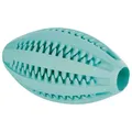 DENTAfun RUGBY lopta s mätou 11cm TRIXIE