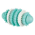 Ďalší obrázok produktu DENTAfun RUGBY valec 15cm TRIXIE