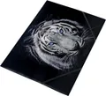 Ploché obaly na dokumenty "Tiger", s gumičkou, 15 mm, A4, PP, PANTA PLAST