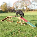 Ďalší obrázok produktu Dog Activity AGILITY nácviková lávka 456x64x30 cm