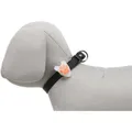 Flasher blikačka pre psov 2,4 cm / 8 cm biela/farebná labka