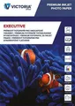 Ďalší obrázok produktu Foto papier Executive, do atramentovej tlačiarne, vysoko lesklý, 10x15cm, 260g, VICT 20 list