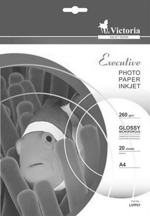 Hlavný obrázok produktu Foto papír "Executive", do inkoustové tiskárny, vysoce lesklý, A4, 260g, VICTORIA 20 listů