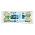 GARDEN FUN balenie lojových gulí pre vtáky á 90g (10 ks v bal)