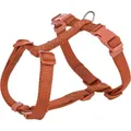H-postroj PREMIUM, hrdzaváM-L:hrudník:52-75 cm / 20 mm