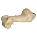 Ďalší obrázok produktu Hovädzia kosť biela - extrudovaná 1 ks/36 cm