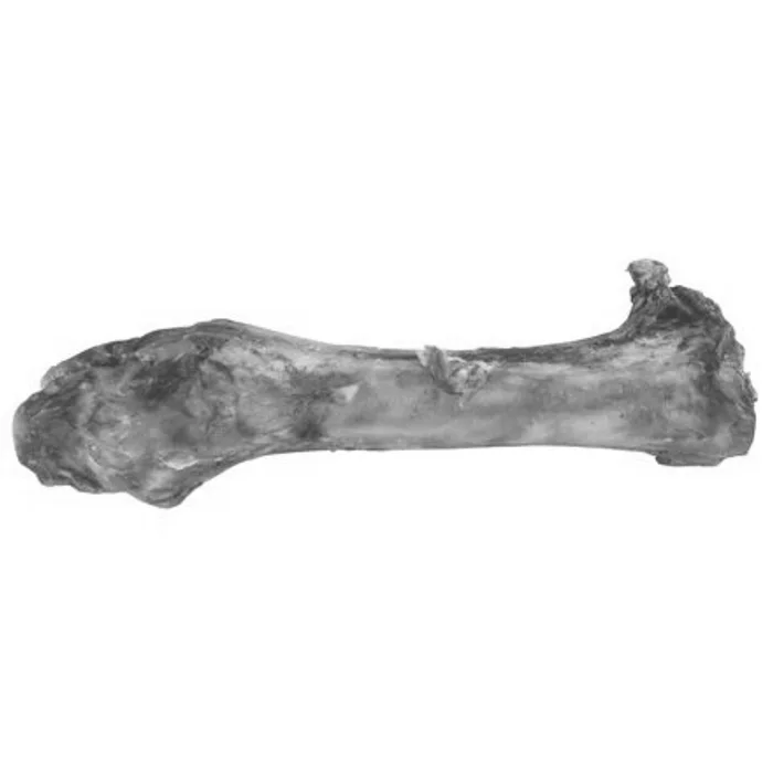Hlavný obrázok produktu Hovězí noha holeň - 1 ks/30 cm