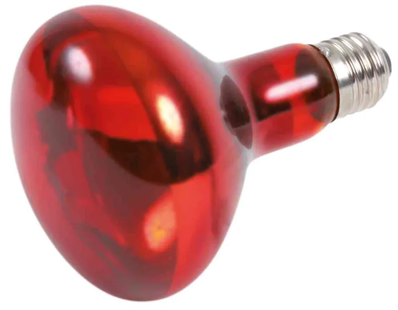 Hlavný obrázok produktu Infrared Heat Spot-Lamp red 100 W