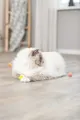 Ďalší obrázok produktu Ježaté guličky machová guma 3,5 cm 4ks