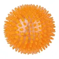 Ďalší obrázok produktu Ježatá loptička, pevný plast (TPR) 12 cm