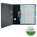 Kartónové registre Esselte Mylar s prepisovateľným predným listom, A4 Maxi, Mix farieb